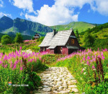 بهترین کلبه سوئیسی در تنکابن